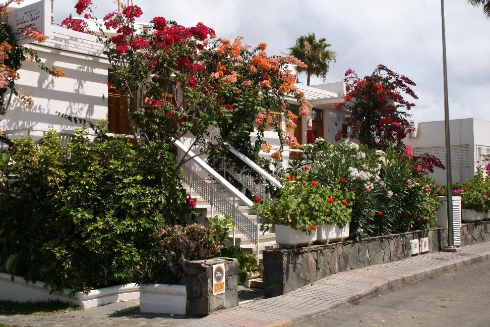 Apartamentos El Capricho Maspalomas  Eksteriør bilde
