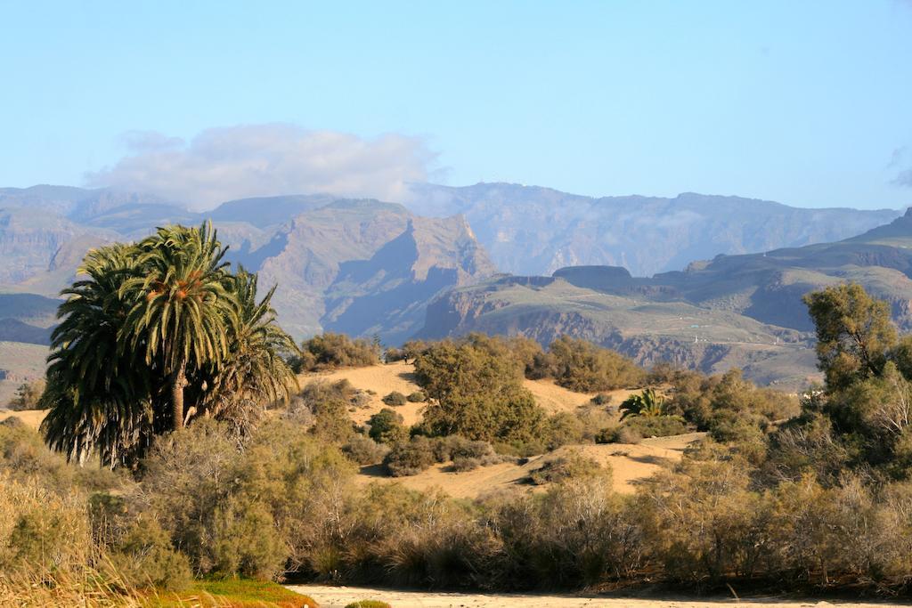 Apartamentos El Capricho Maspalomas  Eksteriør bilde